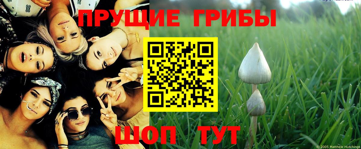 Псилоцибиновые грибы мухоморы  Псилоцибиновые грибы Psilocybe  Вход с VPN  закладка  Киреевск 