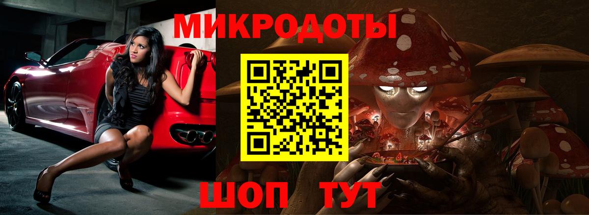 Псилоцибиновые грибы Psilocybine cubensis Киреевск